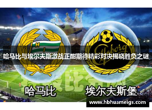 哈马比与埃尔夫斯激战正酣期待精彩对决揭晓胜负之谜