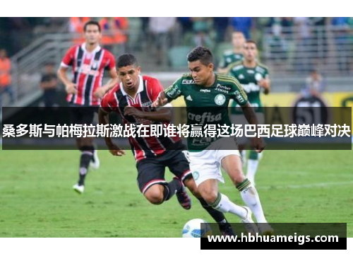 桑多斯与帕梅拉斯激战在即谁将赢得这场巴西足球巅峰对决
